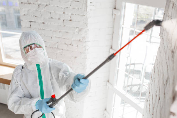 Reliable Loveland Park, OH Mold Inspection, Removal & Remediation Solutions